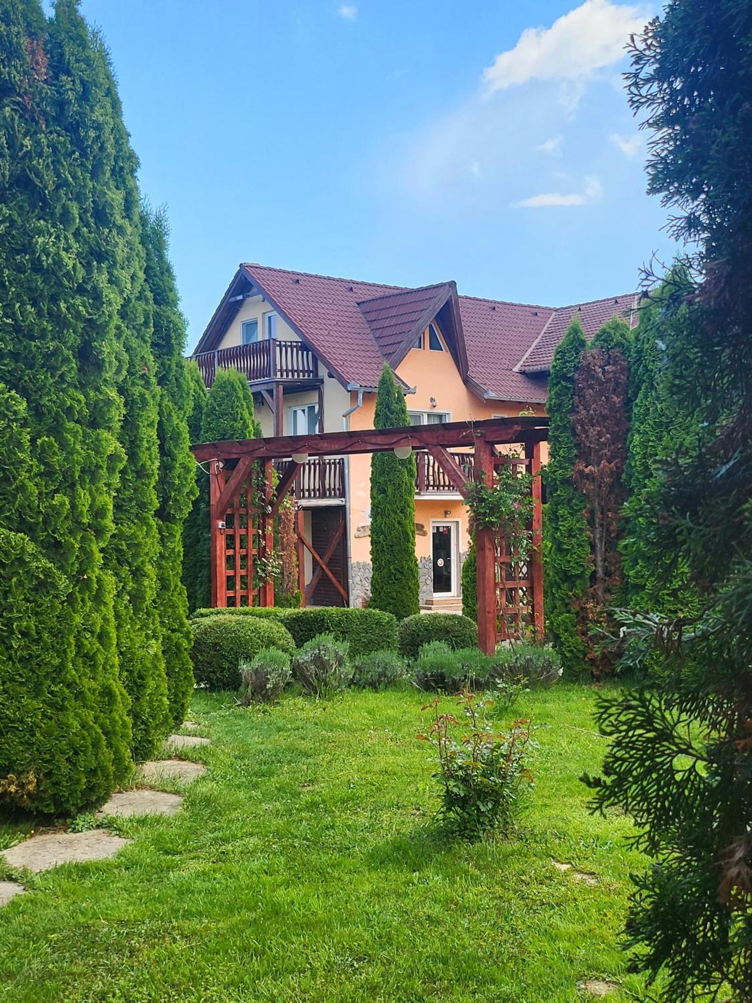 Pensiunea Mountain King Sîmbăta de Sus Εξωτερικό φωτογραφία