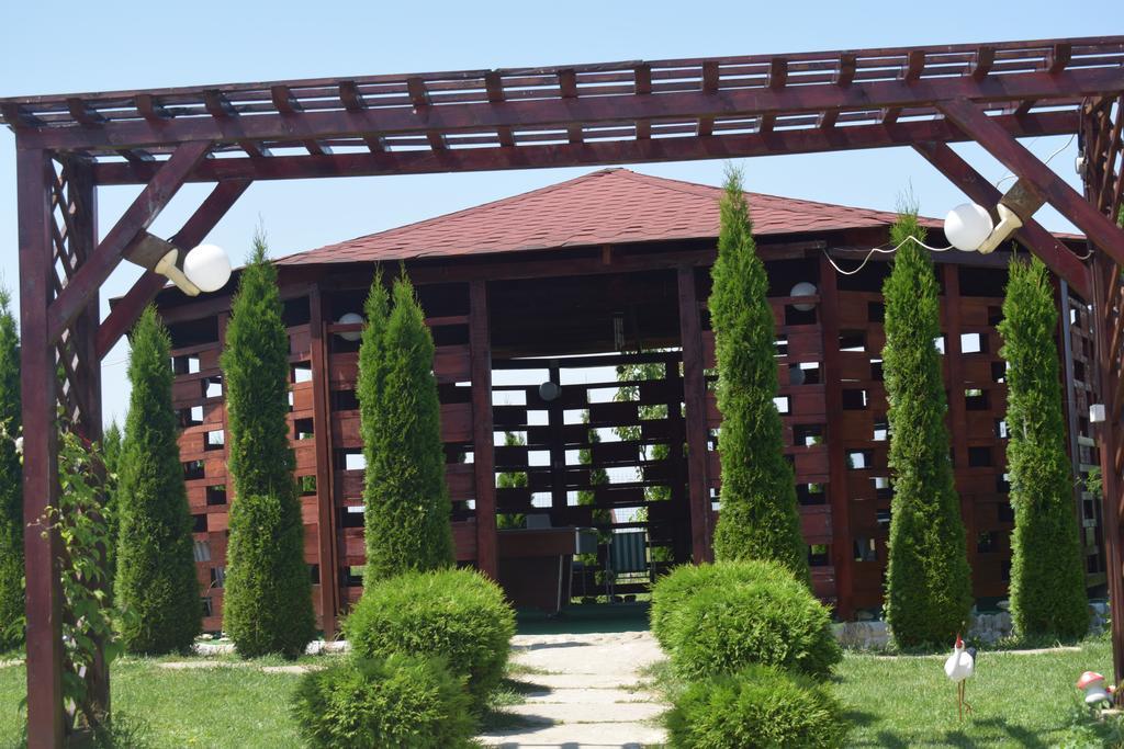 Pensiunea Mountain King Sîmbăta de Sus Εξωτερικό φωτογραφία