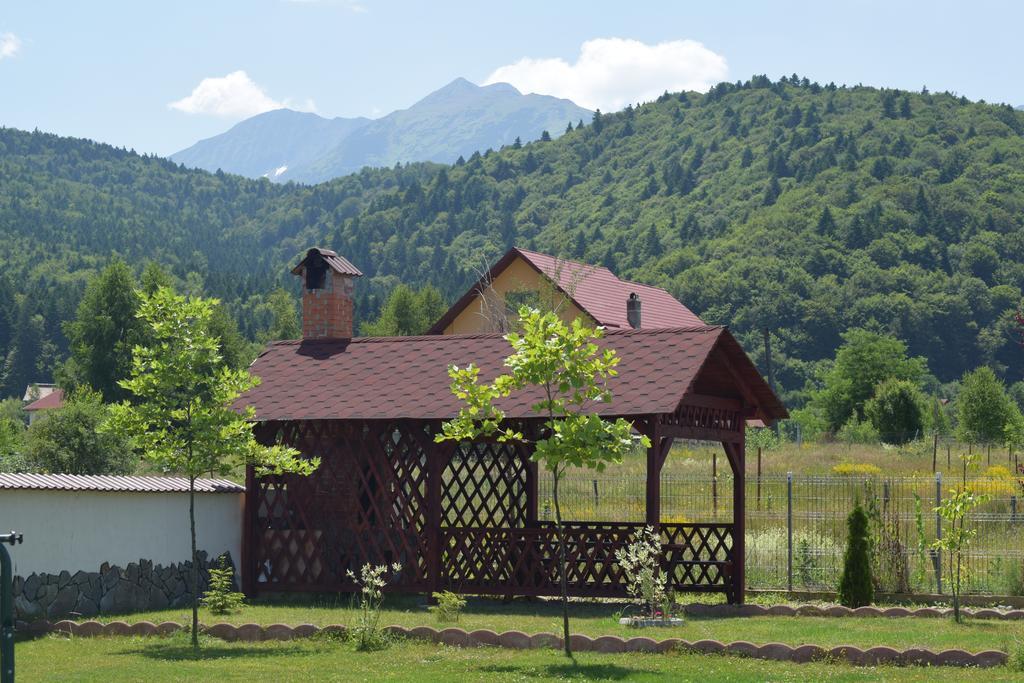 Pensiunea Mountain King Sîmbăta de Sus Εξωτερικό φωτογραφία