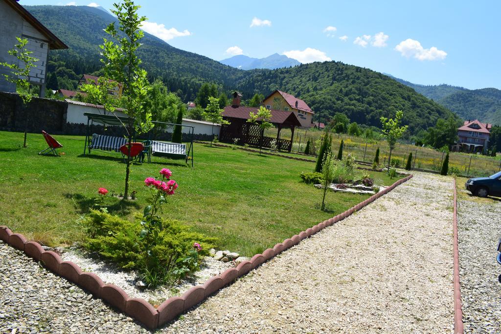 Pensiunea Mountain King Sîmbăta de Sus Εξωτερικό φωτογραφία
