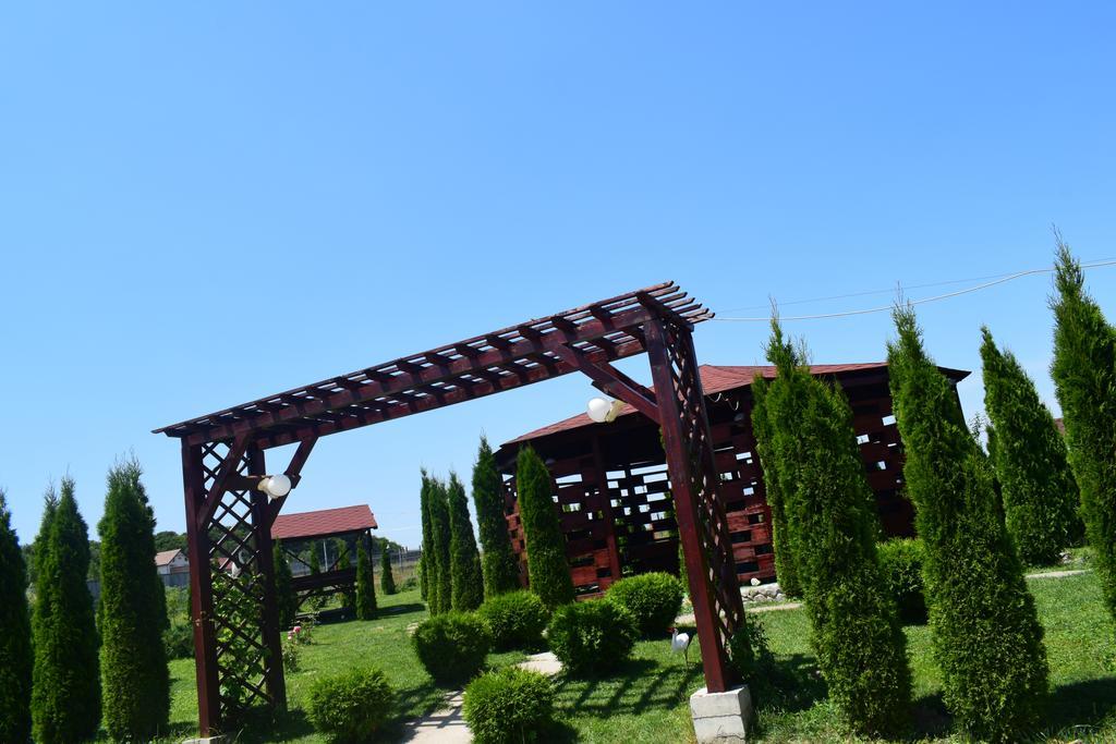 Pensiunea Mountain King Sîmbăta de Sus Εξωτερικό φωτογραφία