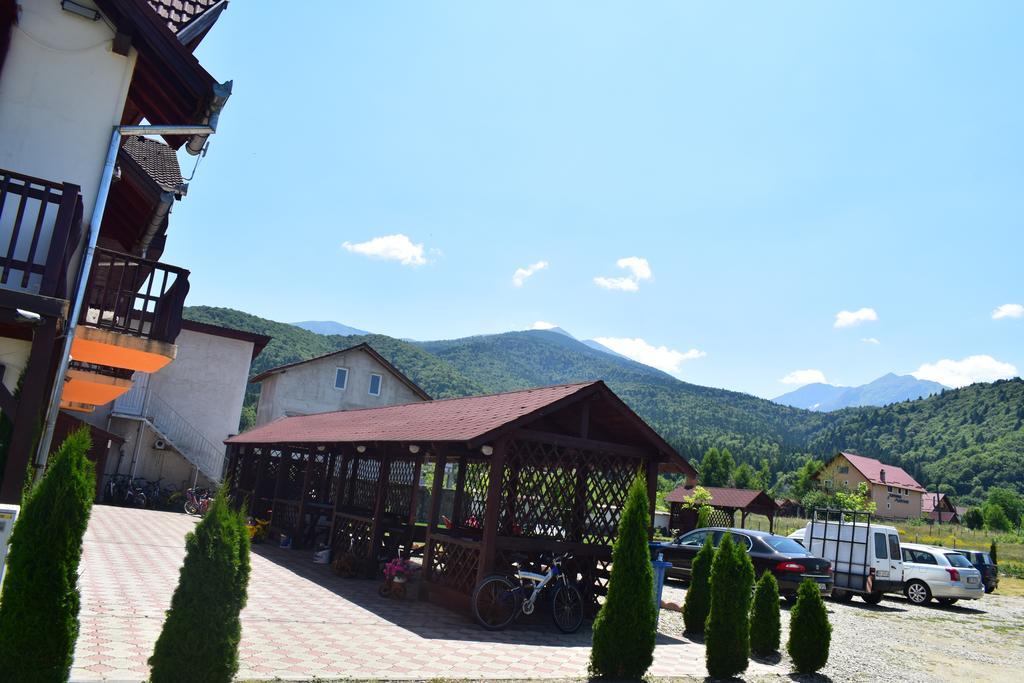Pensiunea Mountain King Sîmbăta de Sus Εξωτερικό φωτογραφία