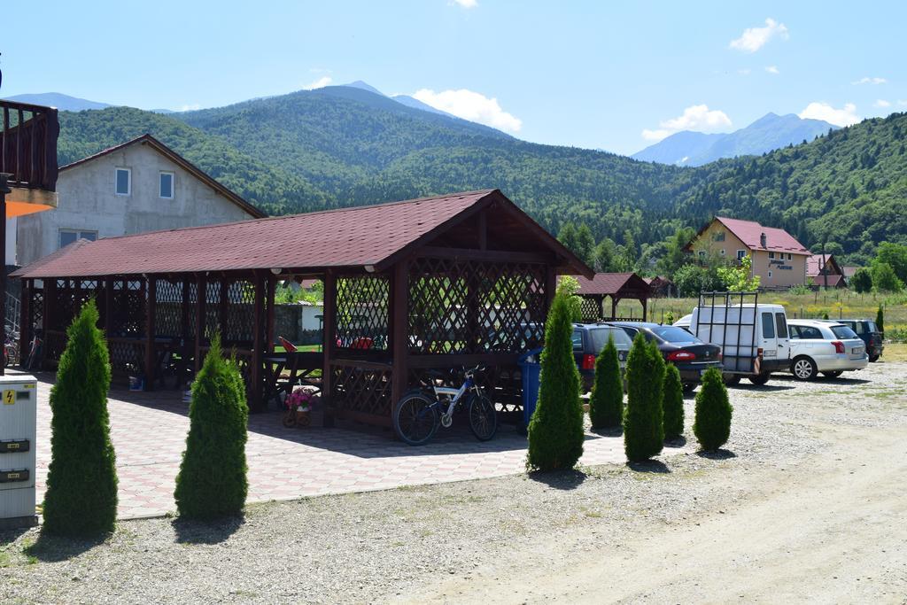 Pensiunea Mountain King Sîmbăta de Sus Εξωτερικό φωτογραφία