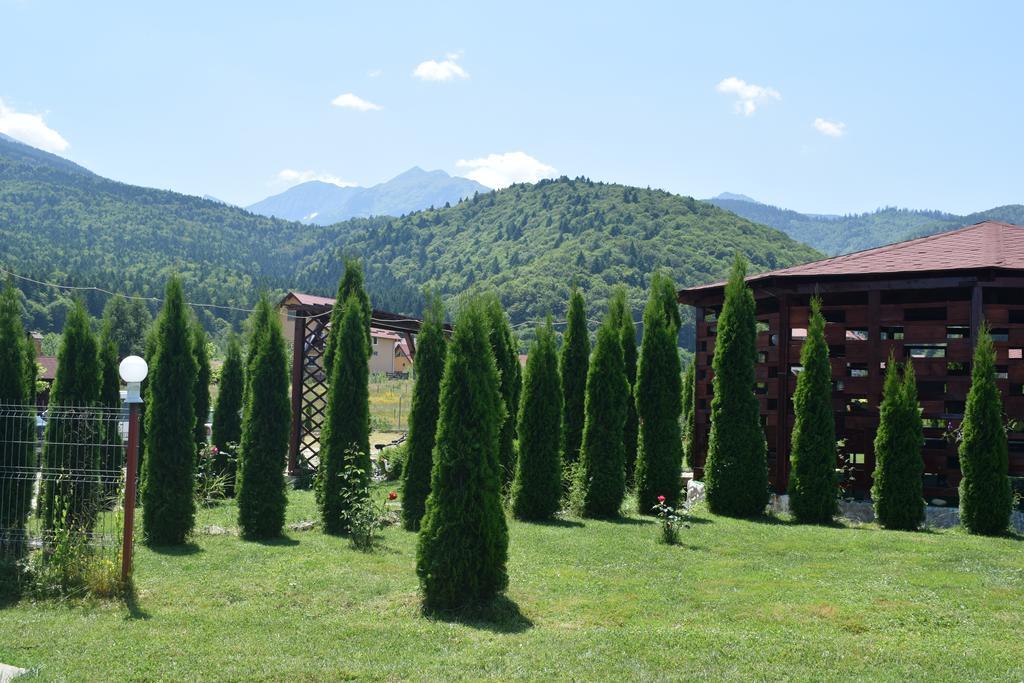 Pensiunea Mountain King Sîmbăta de Sus Εξωτερικό φωτογραφία