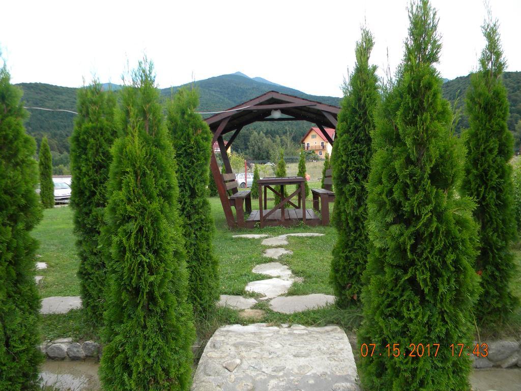 Pensiunea Mountain King Sîmbăta de Sus Εξωτερικό φωτογραφία