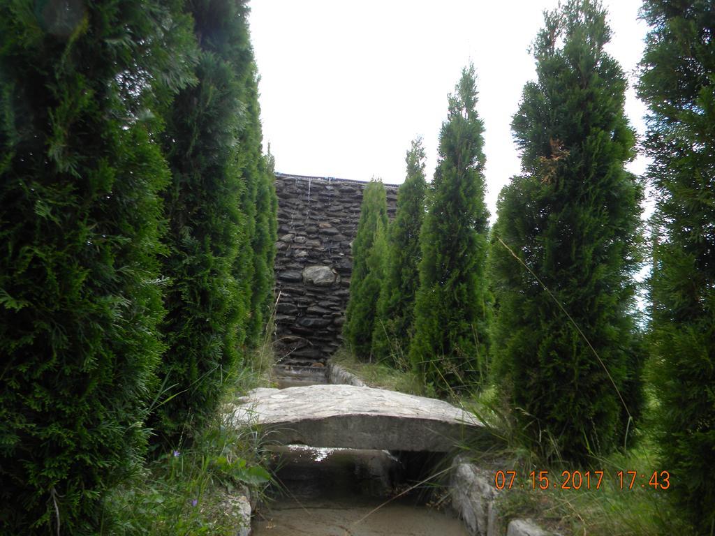Pensiunea Mountain King Sîmbăta de Sus Εξωτερικό φωτογραφία