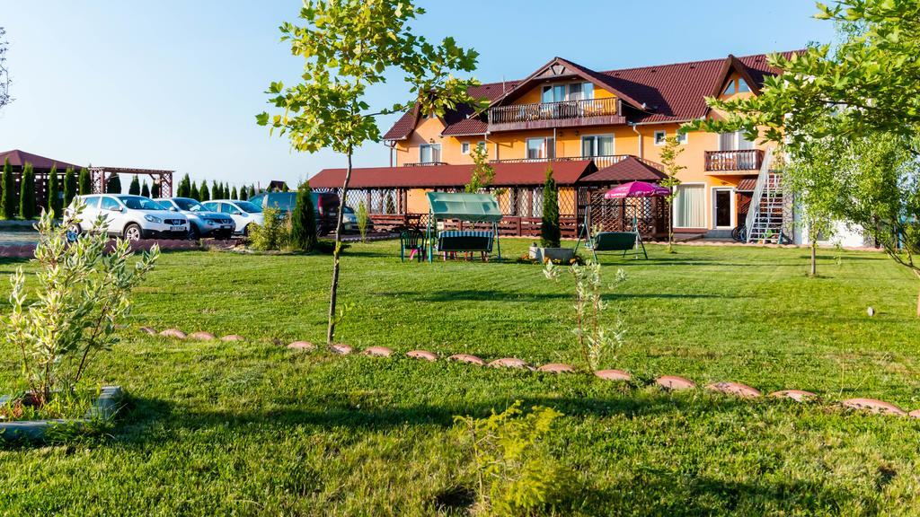 Pensiunea Mountain King Sîmbăta de Sus Εξωτερικό φωτογραφία