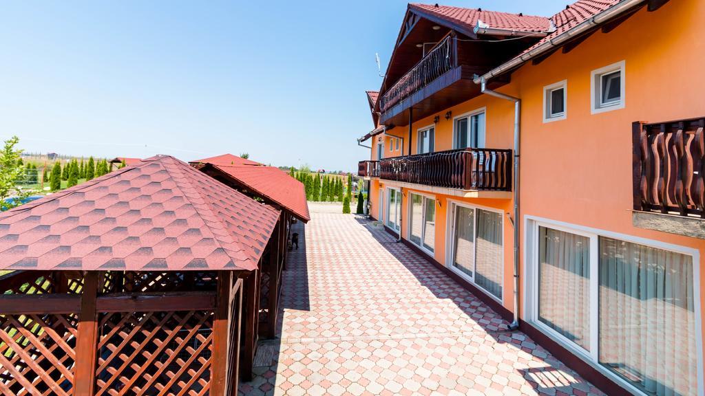 Pensiunea Mountain King Sîmbăta de Sus Εξωτερικό φωτογραφία
